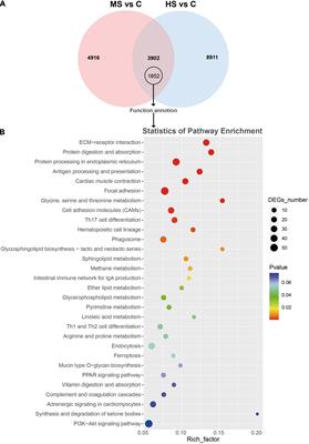 Heat Stress Weakens the Skin Barrier Function in Sturgeon by Decreasing Mucus Secretion and Disrupting the Mucosal Microbiota